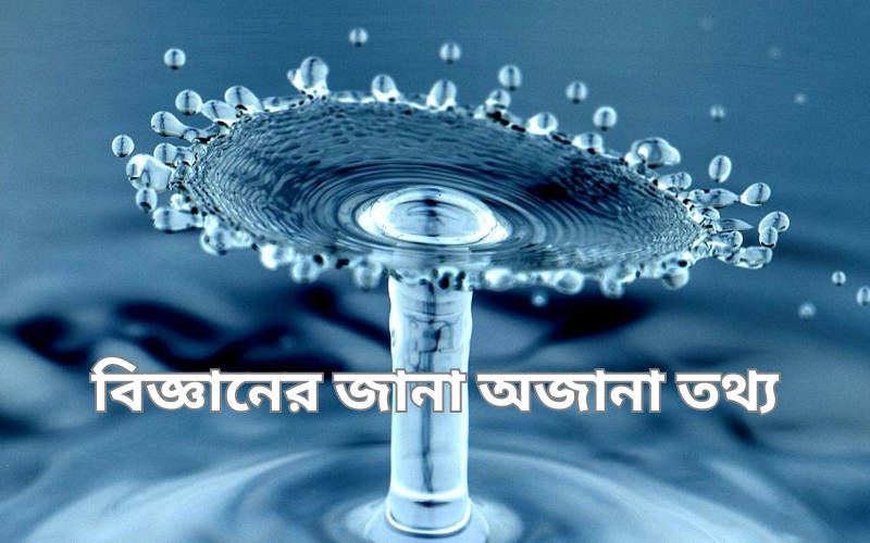বিজ্ঞানের অবাক করা তথ্য