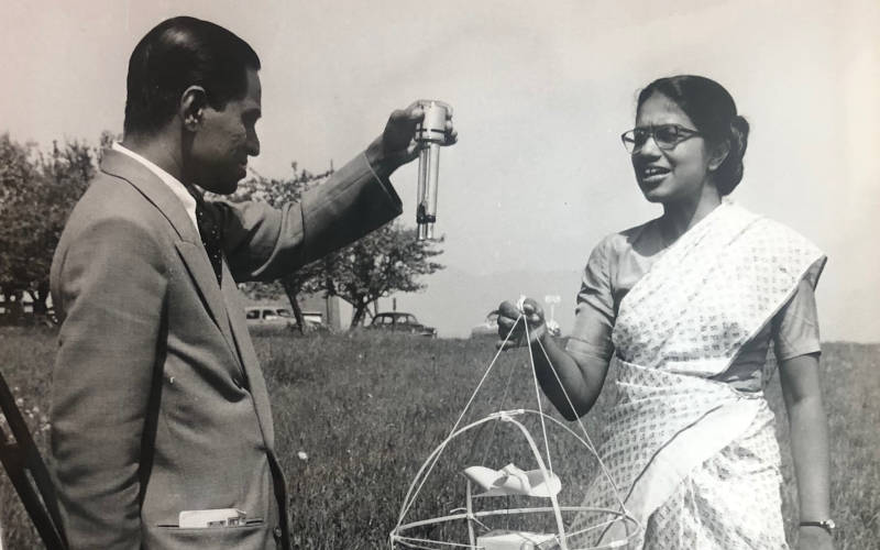 অন্নামণি