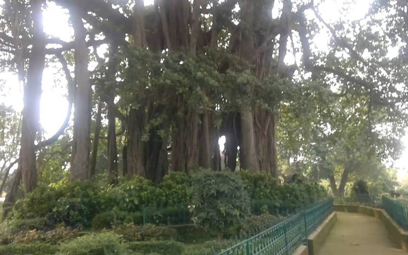 প্রাচীন ও বৈদিক যুগে ত্রিবেণী